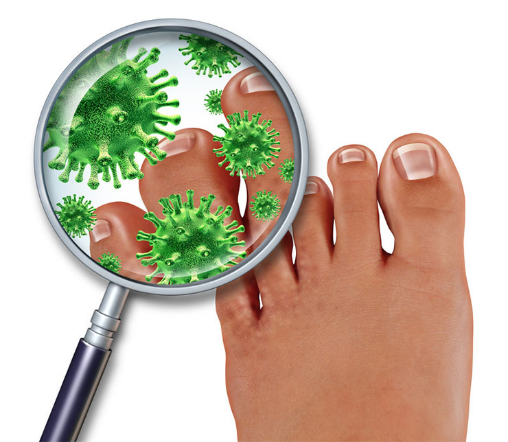 Anti-Fungal Medicines