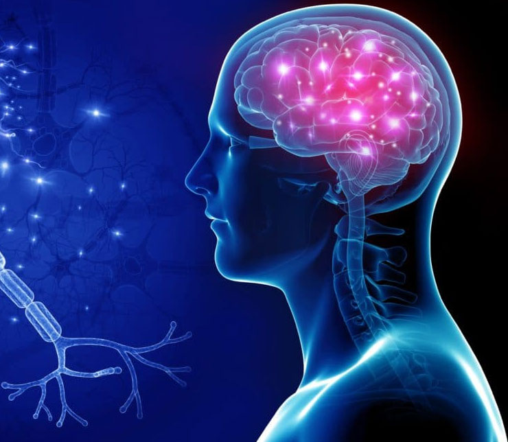 Neurology & CNS Medicines