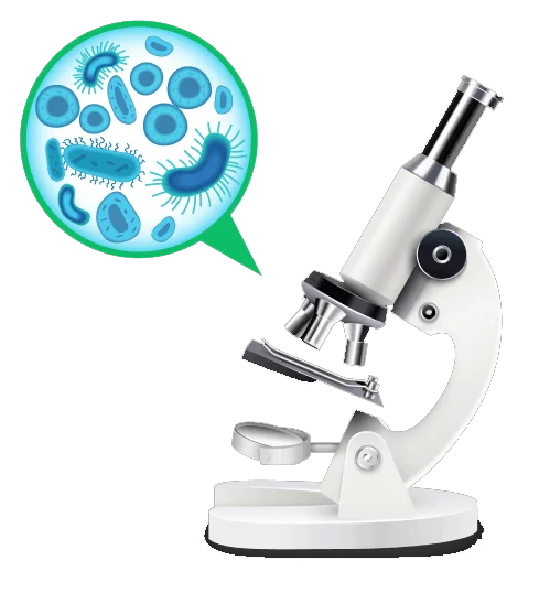 laboix image